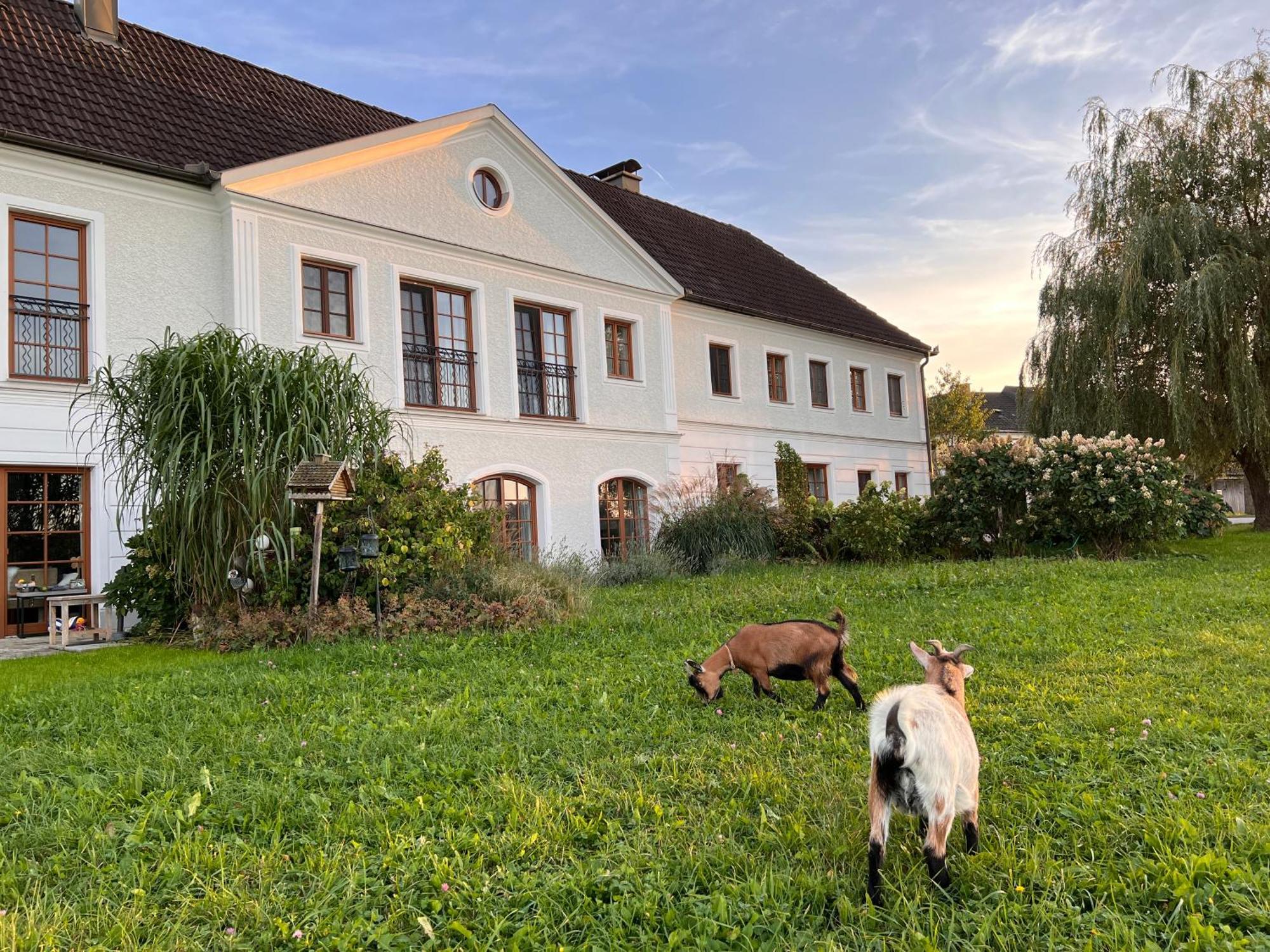 Landhaus Aigner Allhartsberg Exterior photo